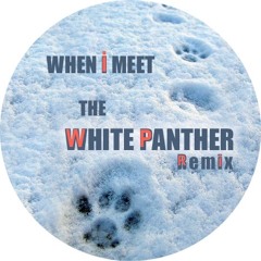 The white panther (remix)