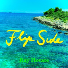 Flip Side