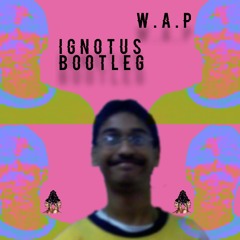 WAP - Cardi B ft Nicky Minaj (Ignotus Bootleg) (Free download)