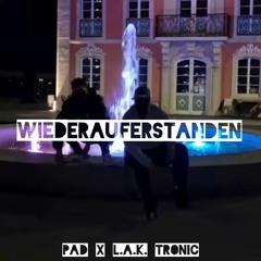 WIEDERAUFERSTANDEN ~ Pad x L.A.K. tronic (Official Audio)