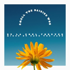 Smell the Daisies Won - De La Soul mixed by DTF