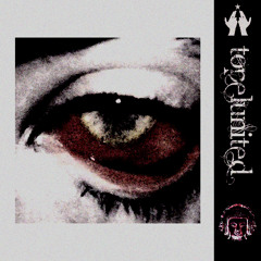 EYERSİZ (with ssplug & knkcore)