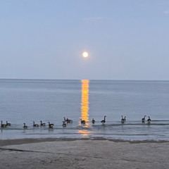 PEX x Chance the Rapper - Temper Tantrum x Juice iTFiTZ