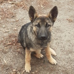 Что произошло? сама не понимаю