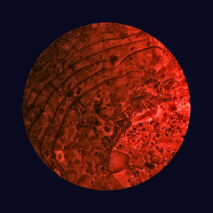 Bartók: Romanian Folk Dances No.3 / Bartók, Rumen Halk Dansları No.3