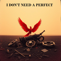 I DON’T NEED A PERFECT
