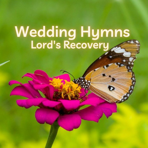 Stream living_letter | Listen to Wedding Hymns playlist online for free ...