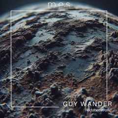 Reduced World (VIP Mix)
