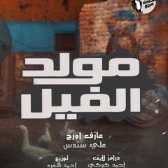 مولد الفيل - اورج علي سندس   درامز لايف احمد كوكي - توزيع احمد شفره 2023