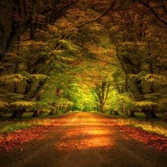 Autumn Bliss