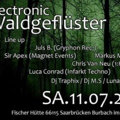 Waldgeflster -Chris Van Neu Live 11 Juli