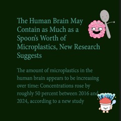 from PLASTIC SPOON BRAIN