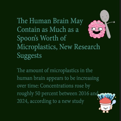 from PLASTIC SPOON BRAIN