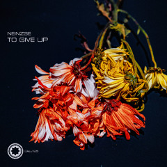 Neinzge - To Give Up (Original Mix)