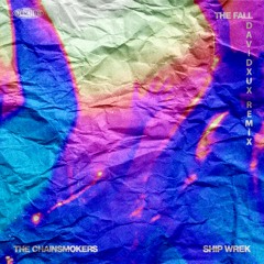 The Chainsmokers & Ship Wrek - The Fall (DavidXUX Remix) (pitched)