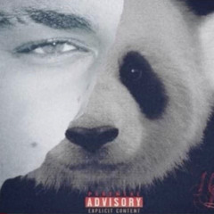 NP - PANDA