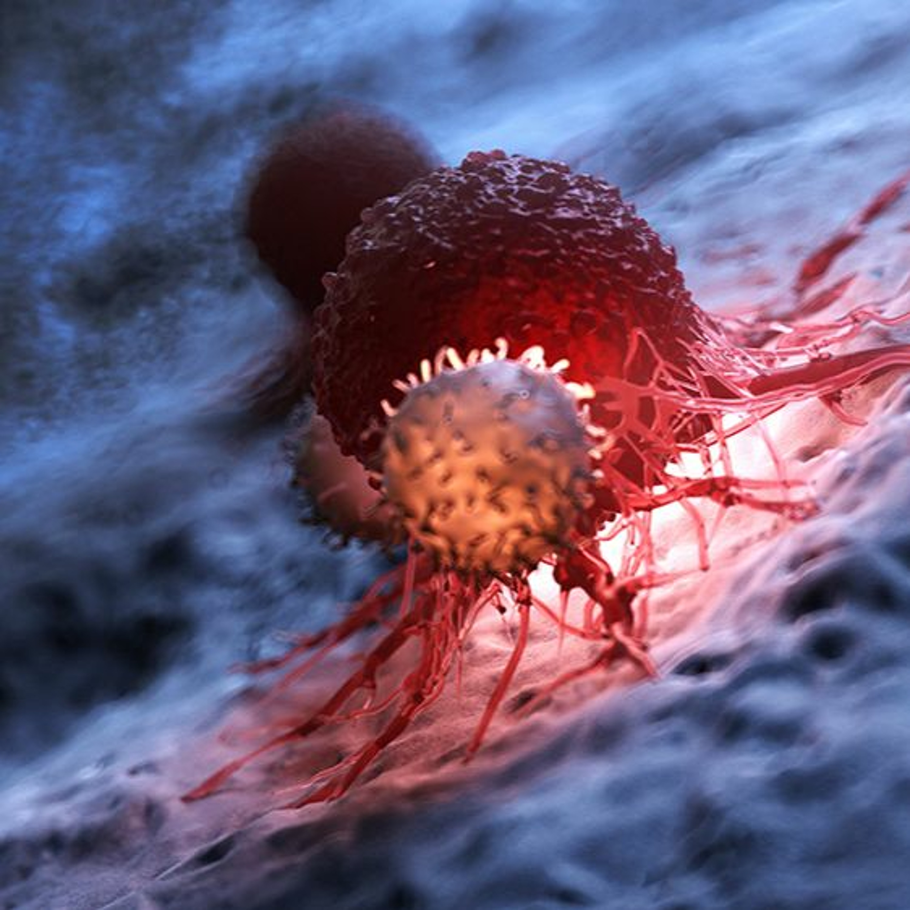 Oncotarget
