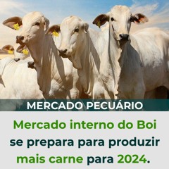 Mercado interno do Boi se prepara para produzir mais carne para 2024.