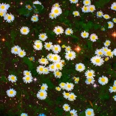 ขอโทษดาว⭐️