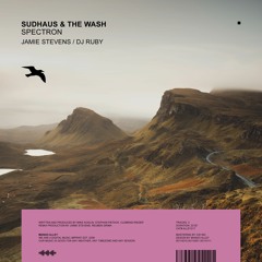 SUDHAUS & THE WASH Spectron (Jamie Stevens Remix)