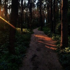 клептомания