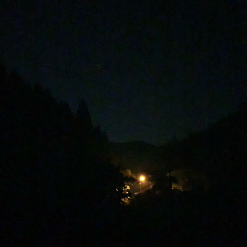 散歩 demo