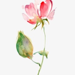 존박 - 이상한 사람(동백꽃 필 무렵 ost ) _ cover by 박철오