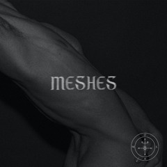 No. 8 - Meshes