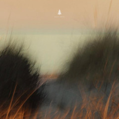 allen tales - higher