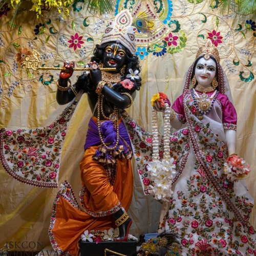 Pavan Nitai Chandra - Kirtan At Srila Prabhupada's House On His Appearance Day - 20.8.22