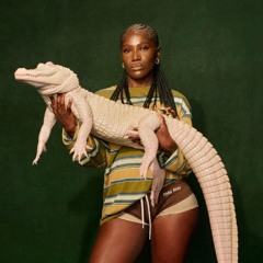 ⚪️🐊