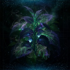 Alice - Solanaceae [Free Download]