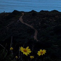 Selena Gomez Marias Ojos Tristes Remix