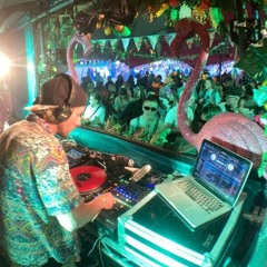 SHINDIG 2022 Tropical Tea Party Takeover set