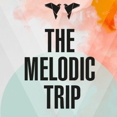The Melodic Trip by Demi Consta