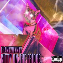 kitty on the fridge (prod. CURTES)