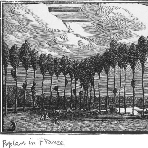 Gwen Raverat & Poplars In France