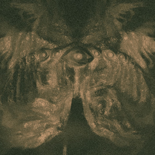 Shego Transforms Again: The Costume That Broke All Rules!