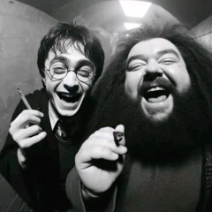 Acid Potter