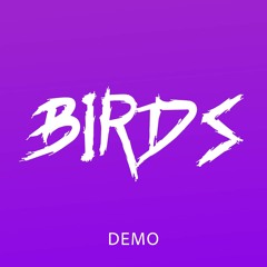 Birds-DEMO-June-081525