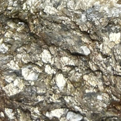 Grief Work Episode 3