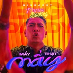 Mẩy Thật Mẩy - Big Daddy (Maniez Bootleg)(Buy = Free Download Extended)