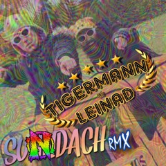 Sunndach (Narxz RMX) 220 Bpm