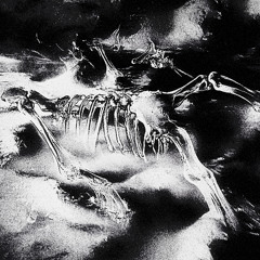 BOX CAR - arc'terroryx