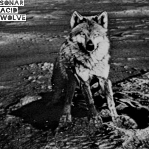 Sonar Acid Wolve - The First Wolve on the Moon (Demo)
