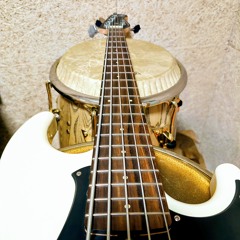 Conga and Bass brothers