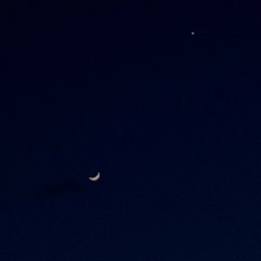 그 애가 떠난밤에 cover