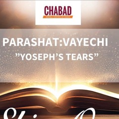 “YOSEPH’s TEARS” - PARASHAT VAYECHI - Sharone Lankry 5784