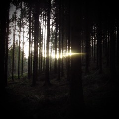 seeinglights - fib (prod. yiuvo x jones)