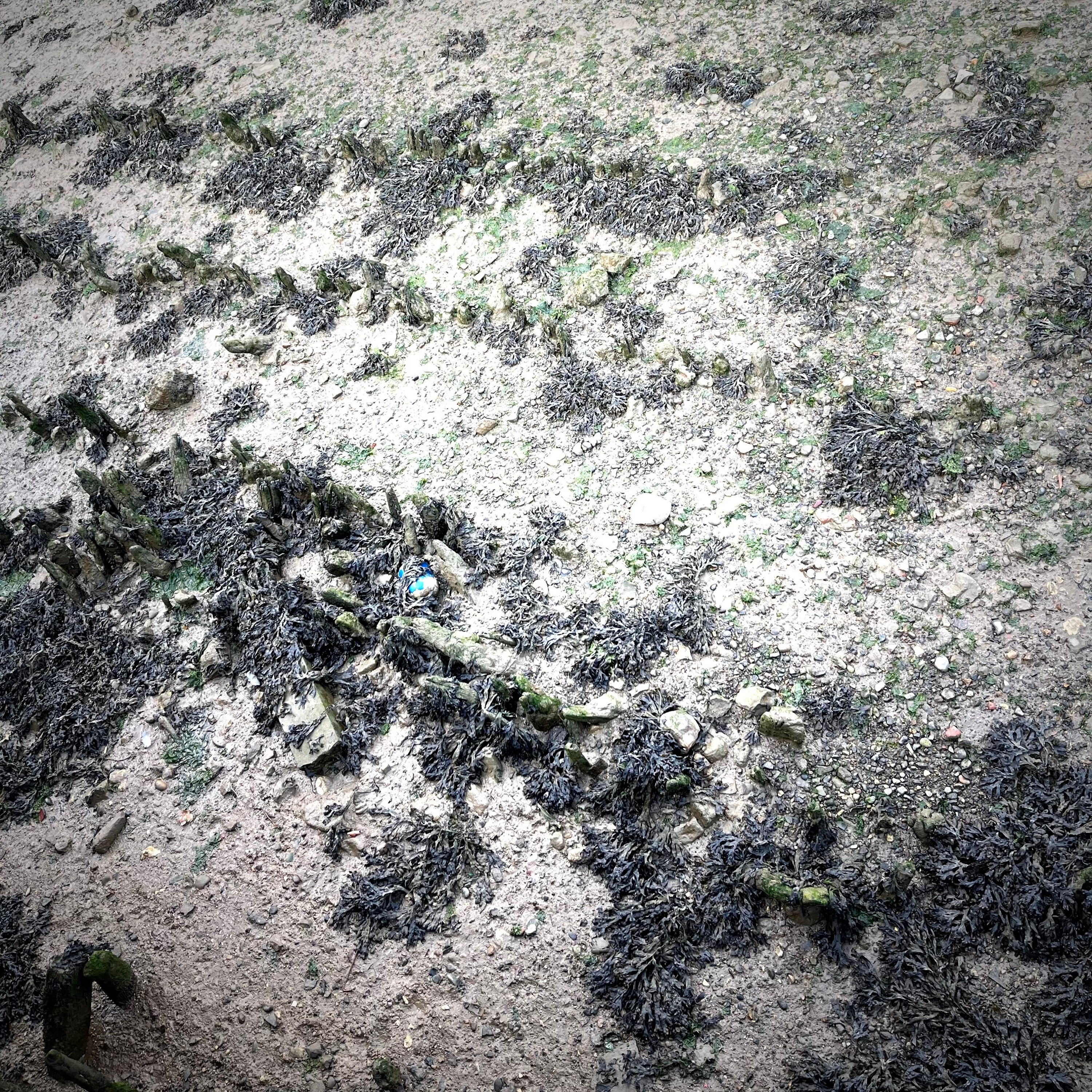 PREMIERE : Ware - Sable Bay (Antikue's 'Bay Of Pigs' Remix) (Absent Music) episode artwork